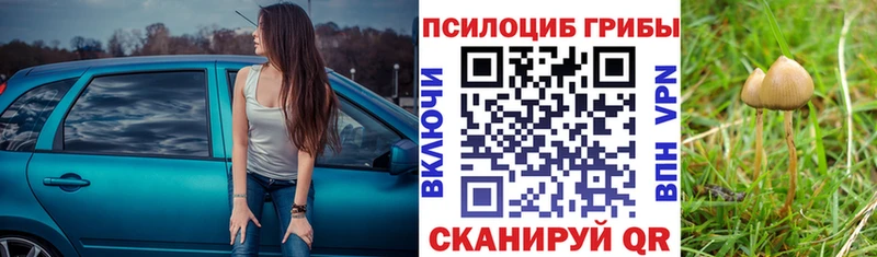 Купить закладки Карасук Галлюциногенные грибы Magic Shrooms